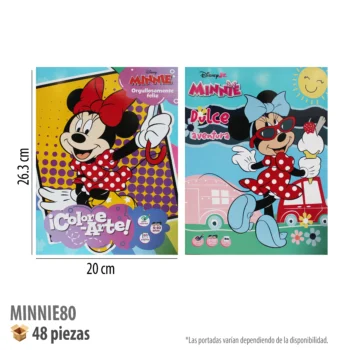 LIBRO COLOREAR 80 PGS MINNIE