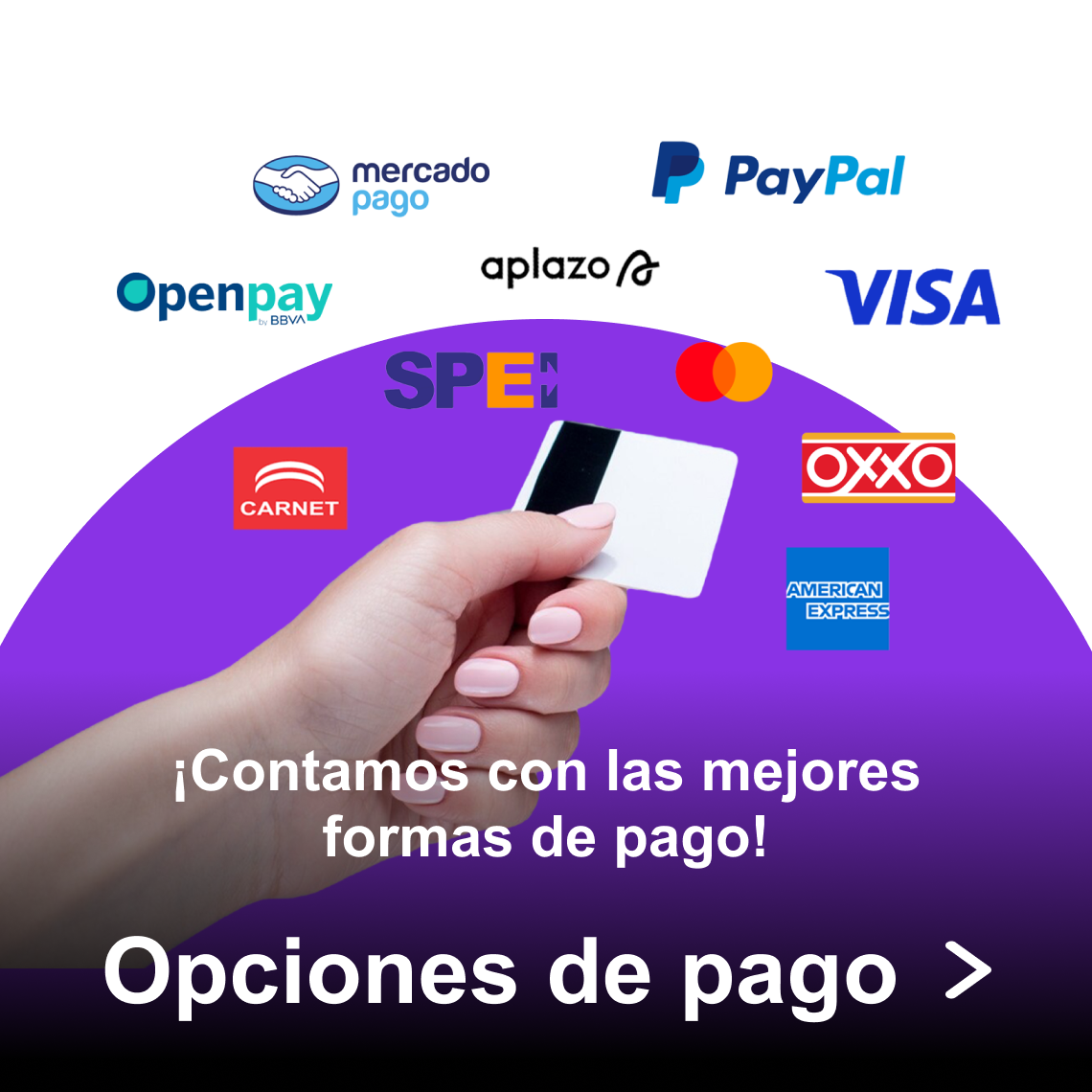 Opciones de Pago