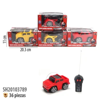 CARRO CON CONTROL REMOTO