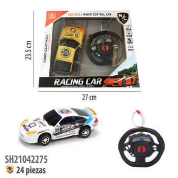 CARRO CONTROL REMOTO