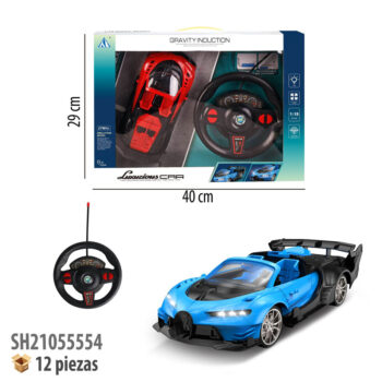 CARRO CONTROL REMOTO RECARGABLE