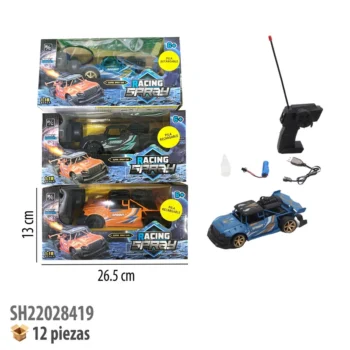 CARRO CONTROL REMOTO RECARGABLE