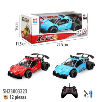 CARRO CON CONTROL REMOTO RECARGABLE