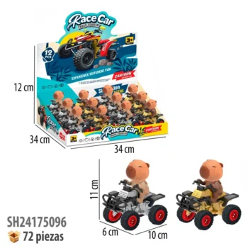 CARRO FRICCION