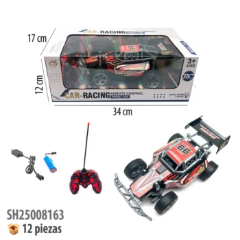 CARRO CON CONTROL REMOTO RECARGABLE
