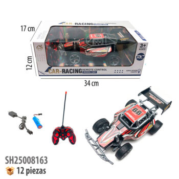 CARRO CON CONTROL REMOTO RECARGABLE